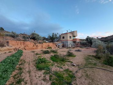 Terreny rústic en venda a Riba-roja d'Ebre