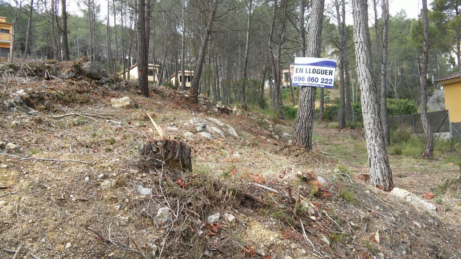 Residencial de lloguer a Carrer de L'Estṛella, 12, Olivella