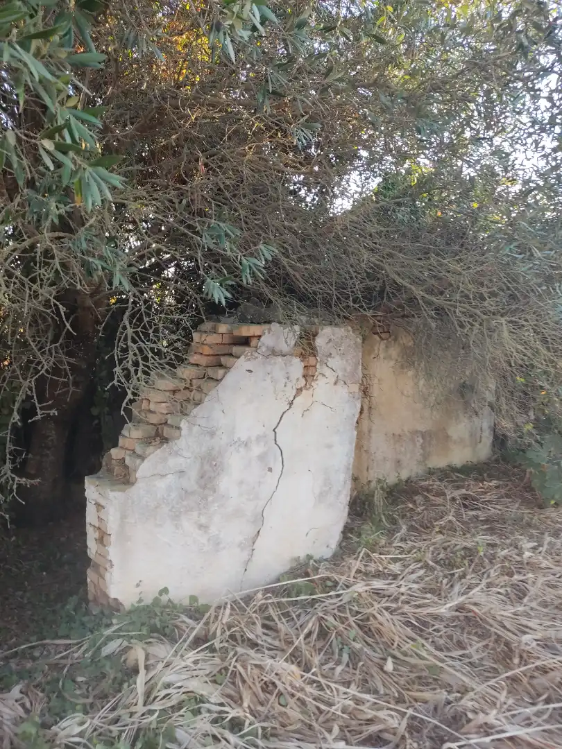 Terreno en venta en Conil de la Frontera