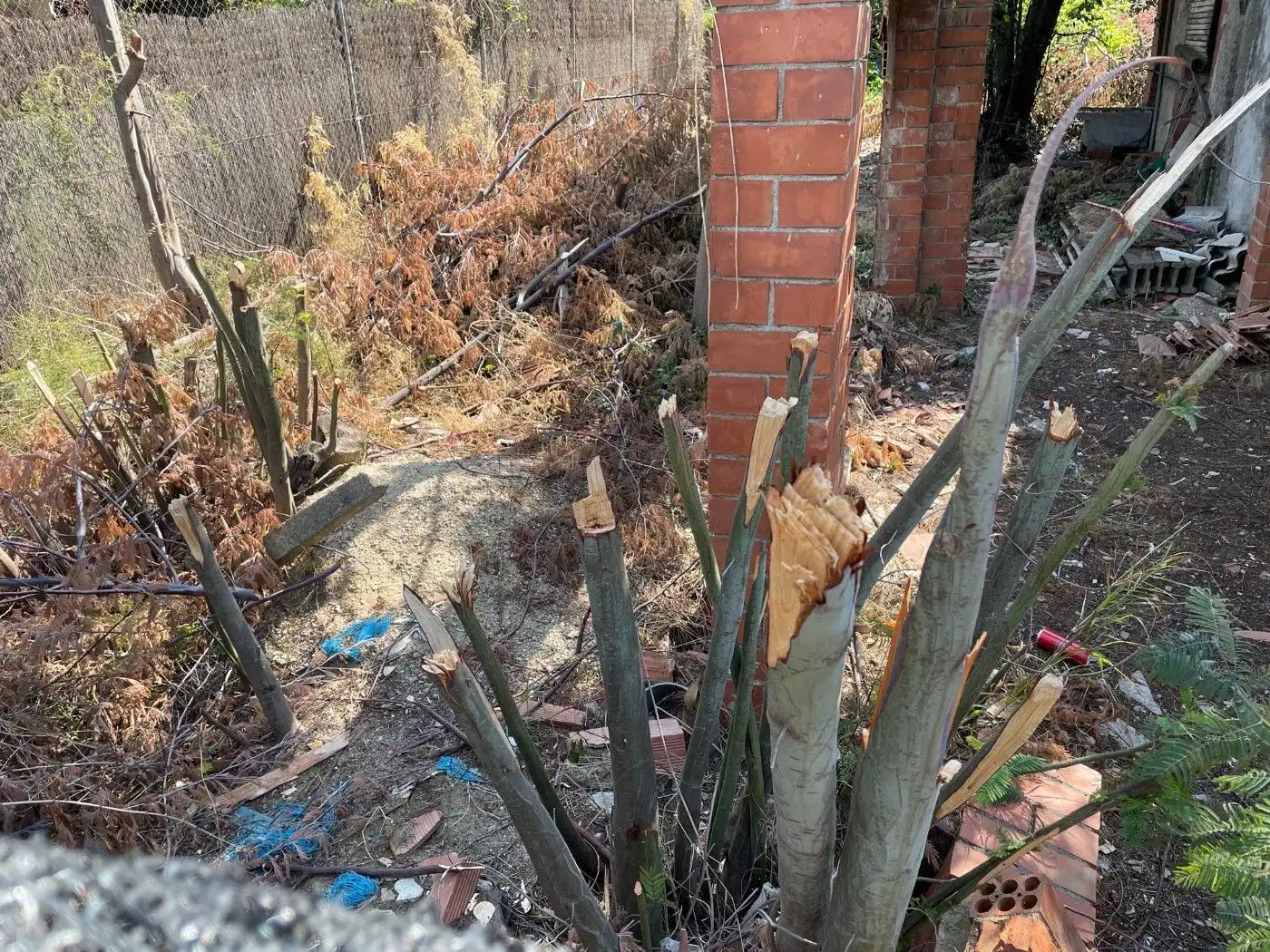 Wohnbaugrundstück zum Verkauf in Viladecavalls, imagen 4