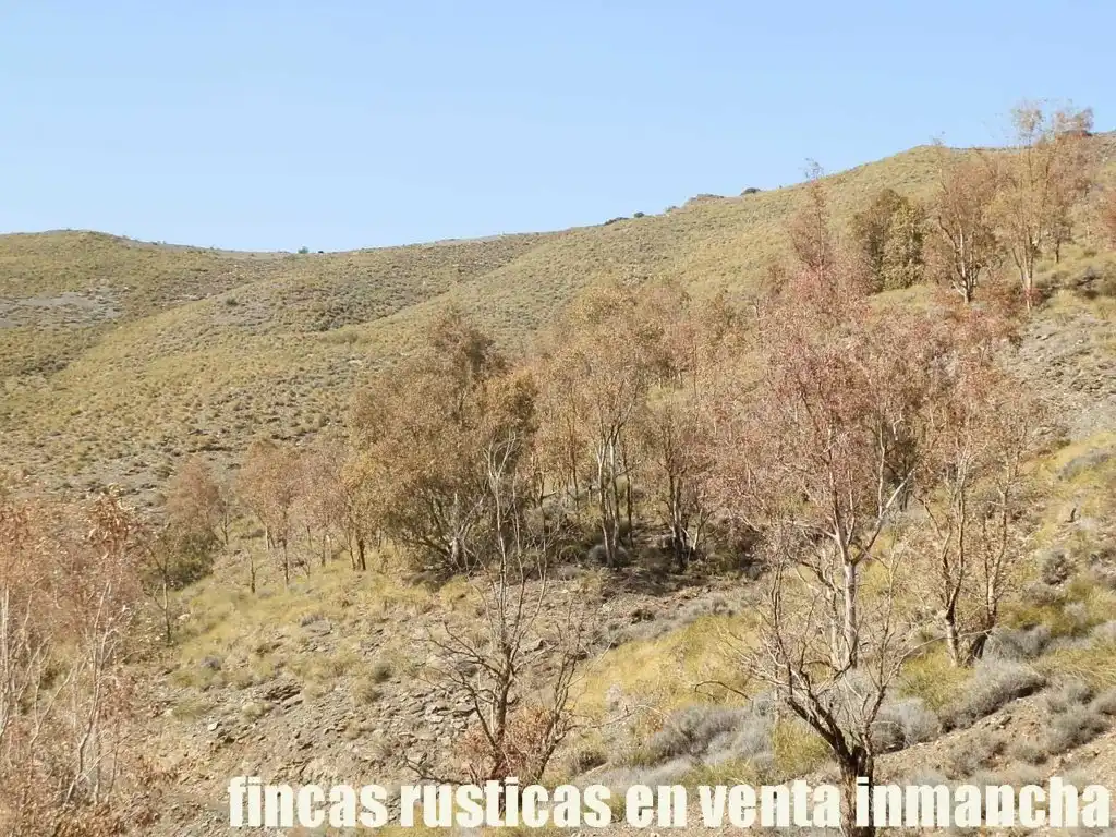 Terreny rústic en venda a Pechina, imagen 9