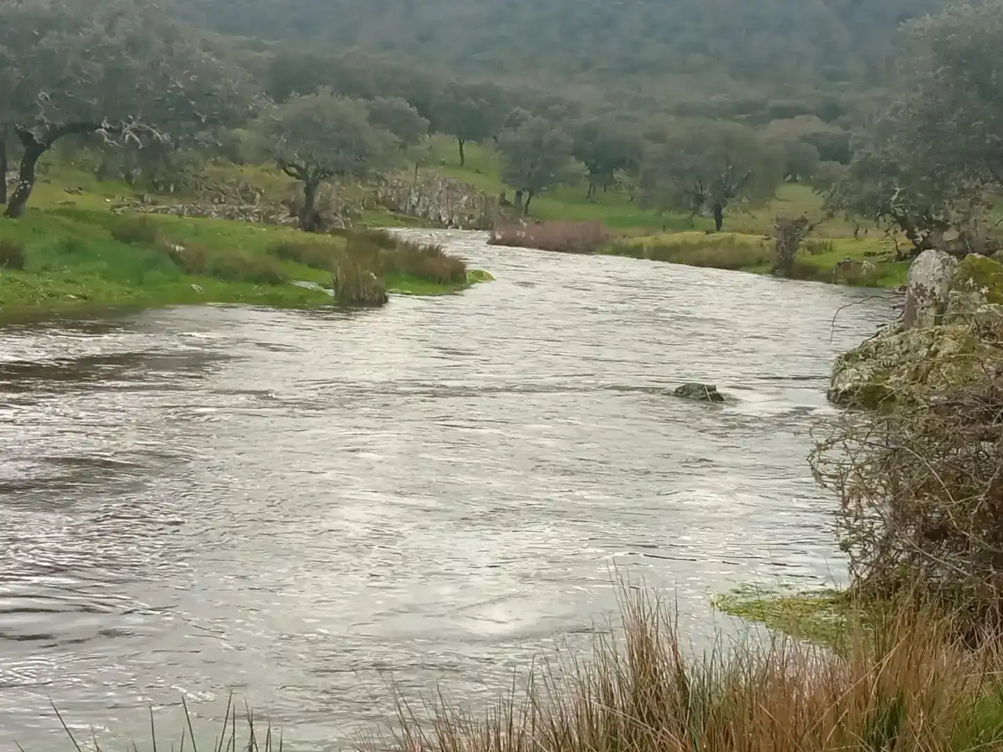 Vista exterior de Finca rústica en venta en Aldeacentenera con Jardín privado