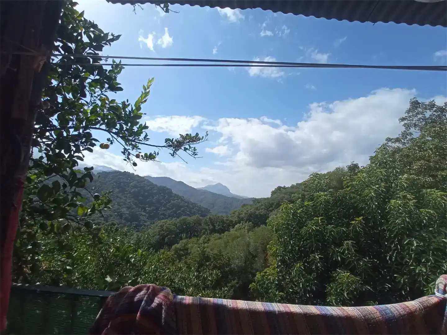 Vista exterior de Finca rústica en venda en Genalguacil, Málaga