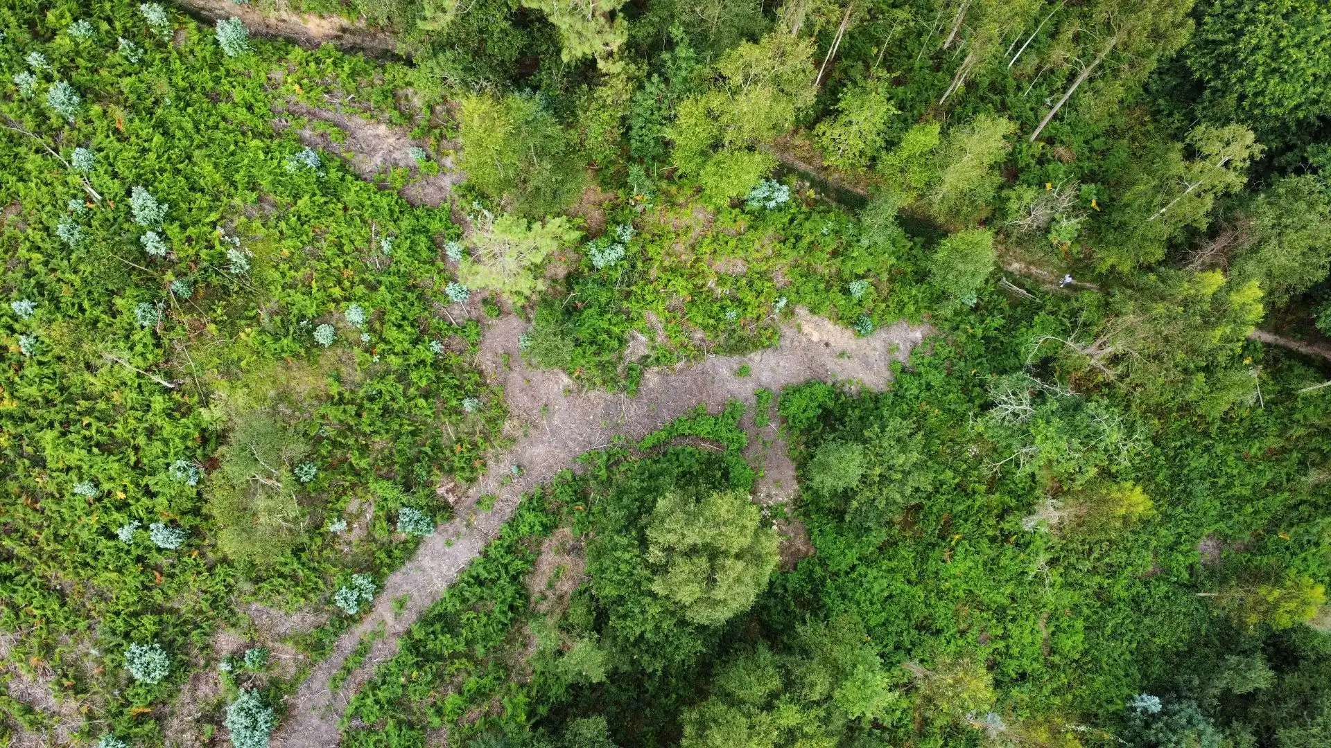 Terreno rustico in vendita a Pría - Nueva-Hontoria - Naves, imagen 8