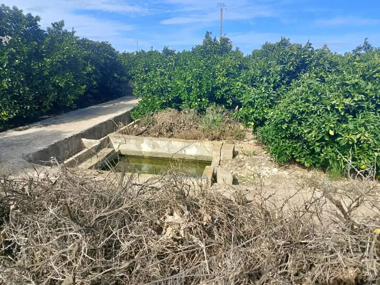 Rustikales Grundstück zum Verkauf in Camino Xeraco a Xeresa, imagen 6
