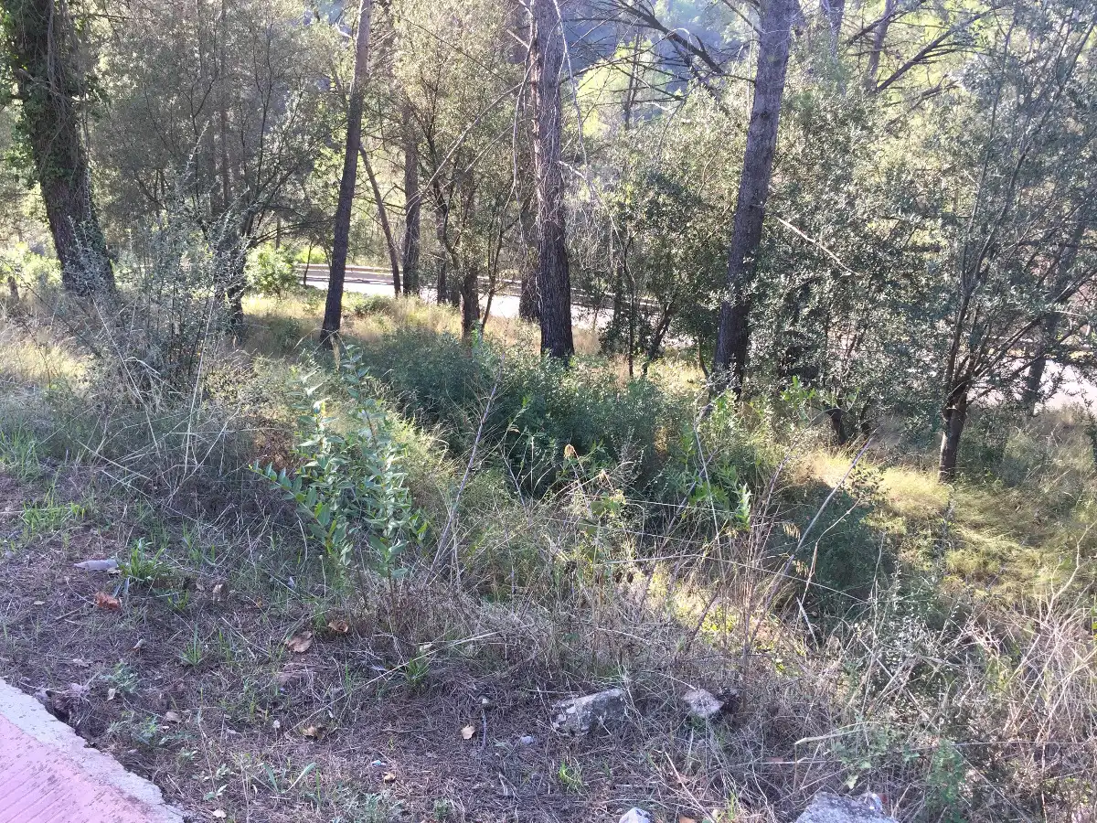 Terrenos y solares en venta en Castellví de Rosanes, imagen 4