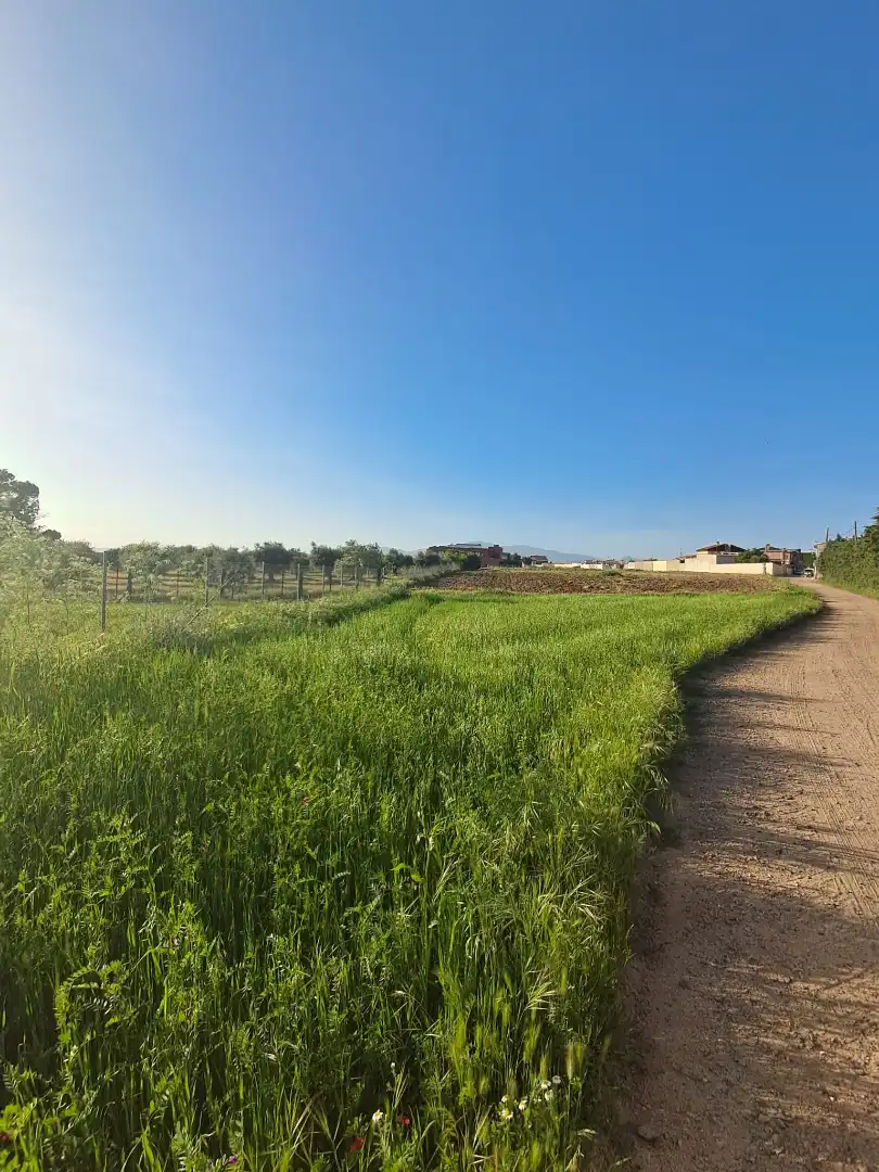 Terreny residencial en venda a Cazalegas, imagen 5