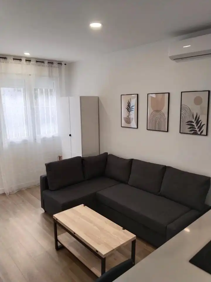 Sala d'estar de Pis de lloguer en Barrio de Salamanca