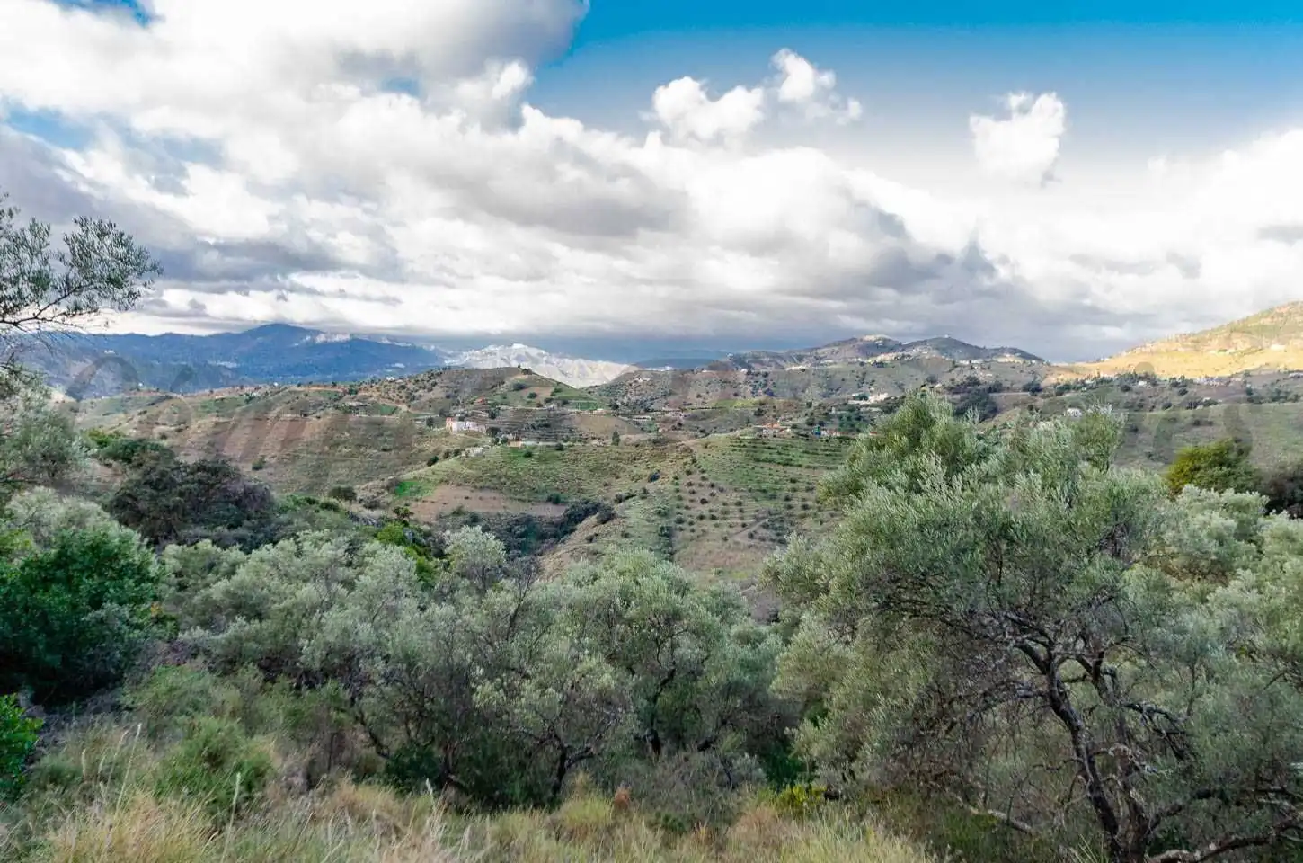 Terreno rustico in vendita a Salares, imagen 4