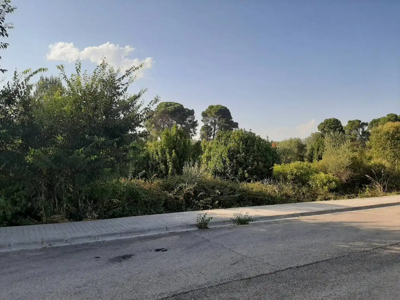 Terreno en venta en Navajas