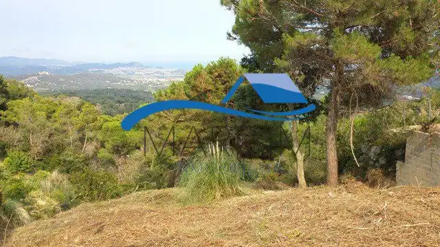Lands and plots for sale in Condor, imagen 14
