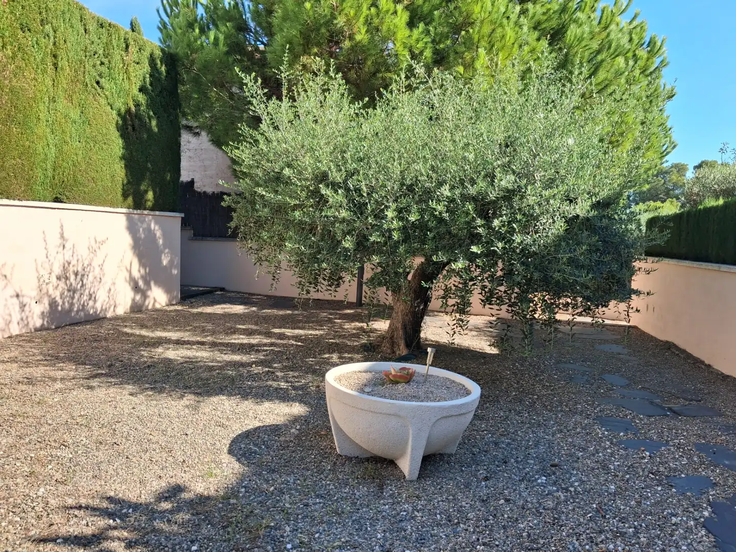 Rez-de-chaussée avec piscine à vendre à Carrer Francesc Mas Ros-Masos 10, imagen 6