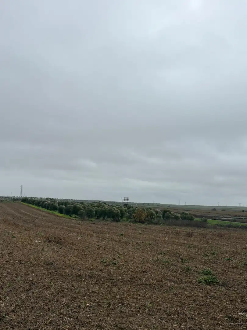 Terreno rustico in vendita a La Orden, imagen 13