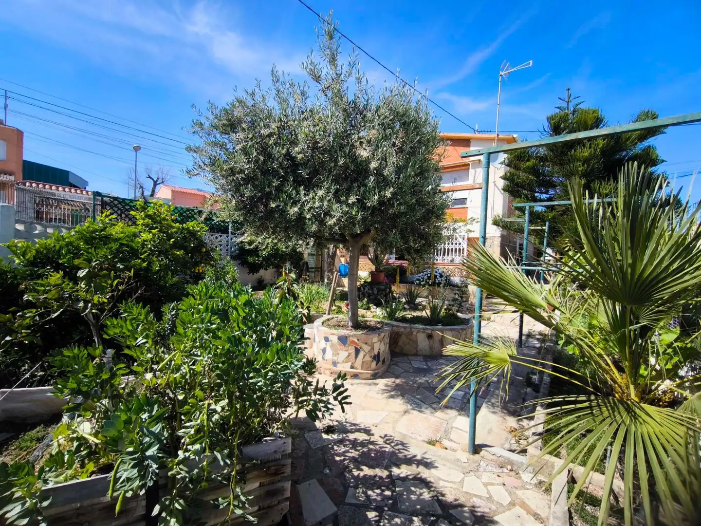 Maison à vendre à Coloma, imagen 5