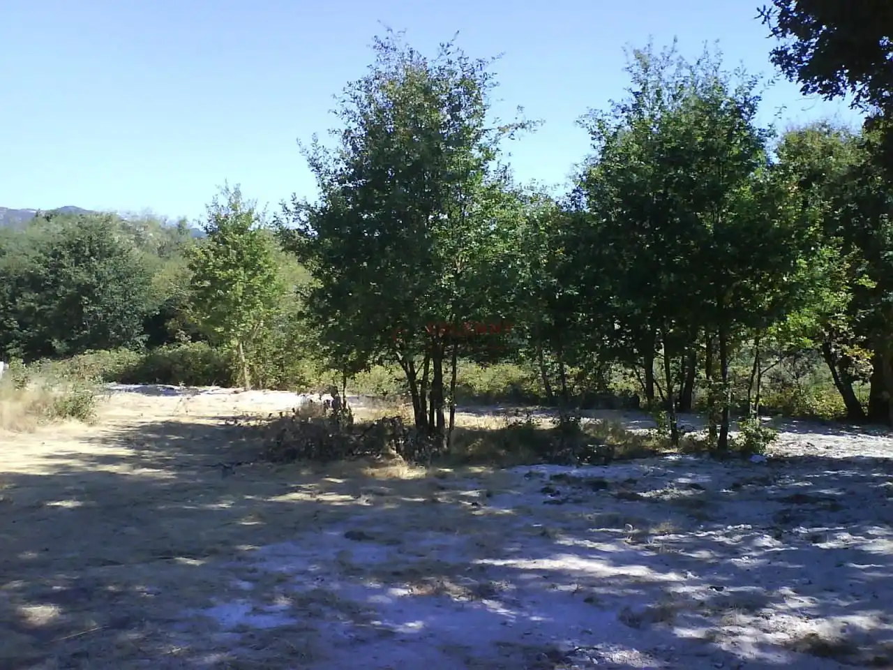 Terreni e lotti in vendita a Nogueira de Ramuín, imagen 23