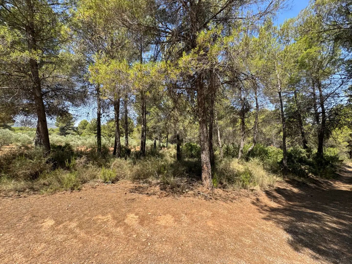 Rural land for sale in N/A, imagen 57