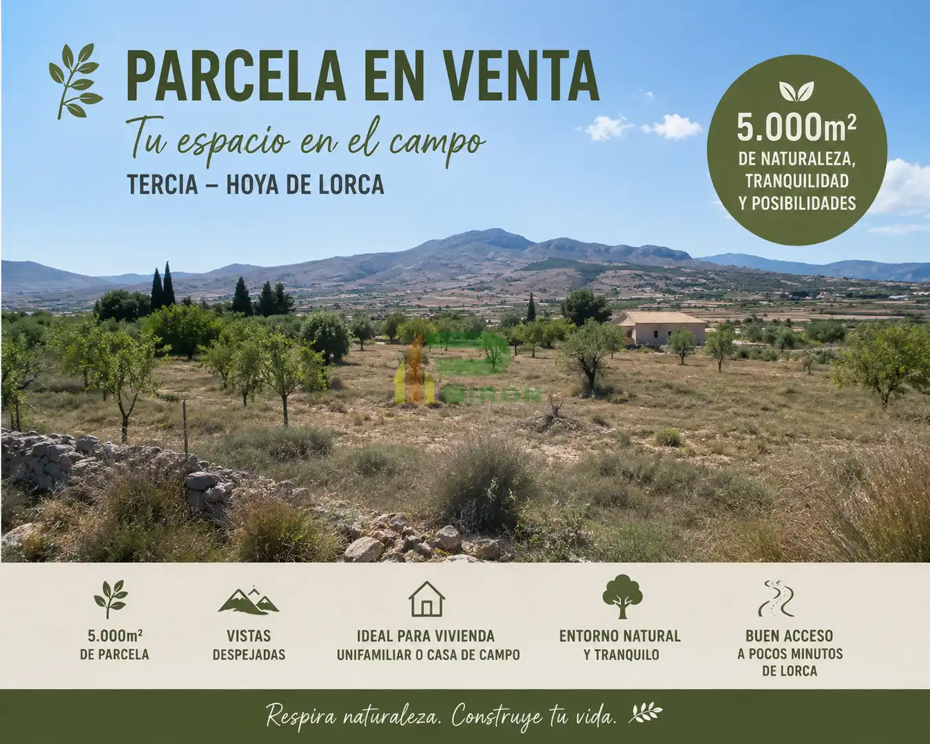 Lands and plots for sale in Pedanías Centro, imagen 3