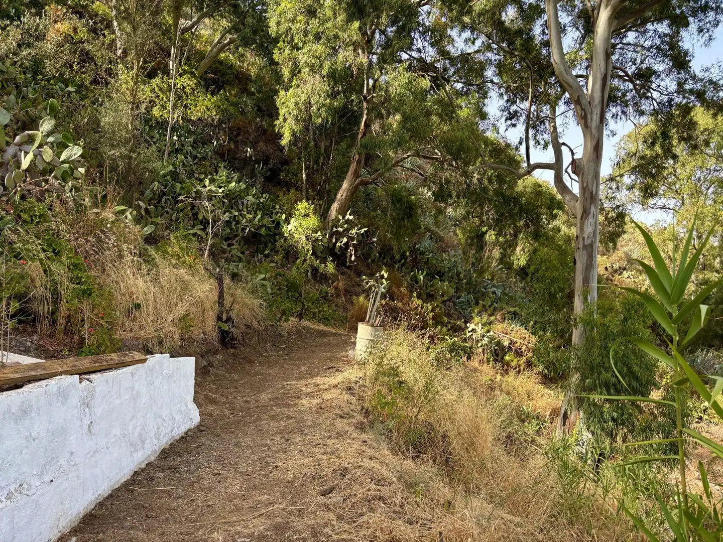 Vista exterior de Finca rústica en venda en Santa Brígida amb Rentadora
