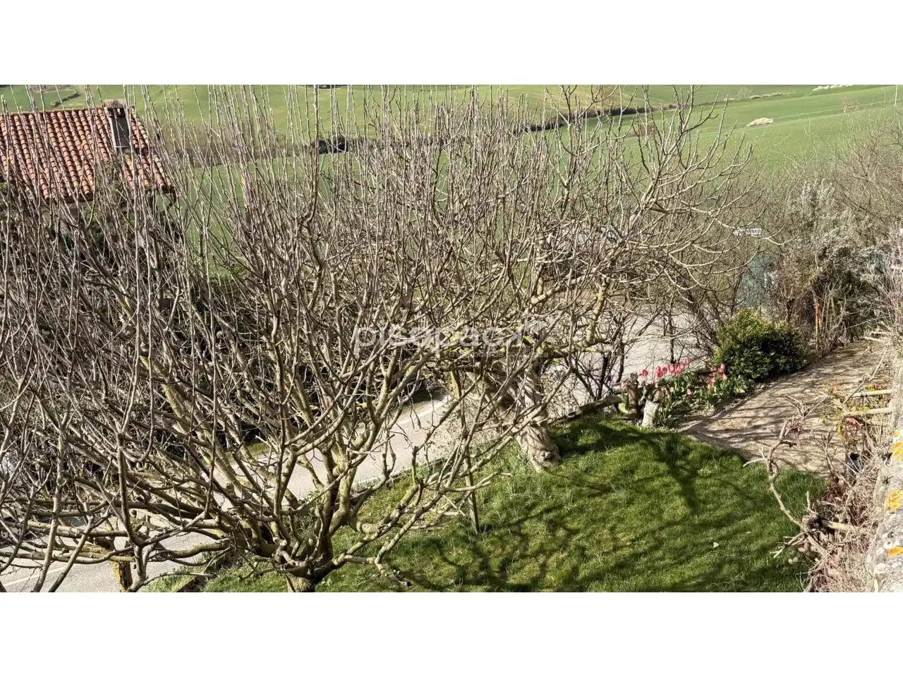 Jardí de Finca rústica en venda en Ezcabarte amb Calefacció