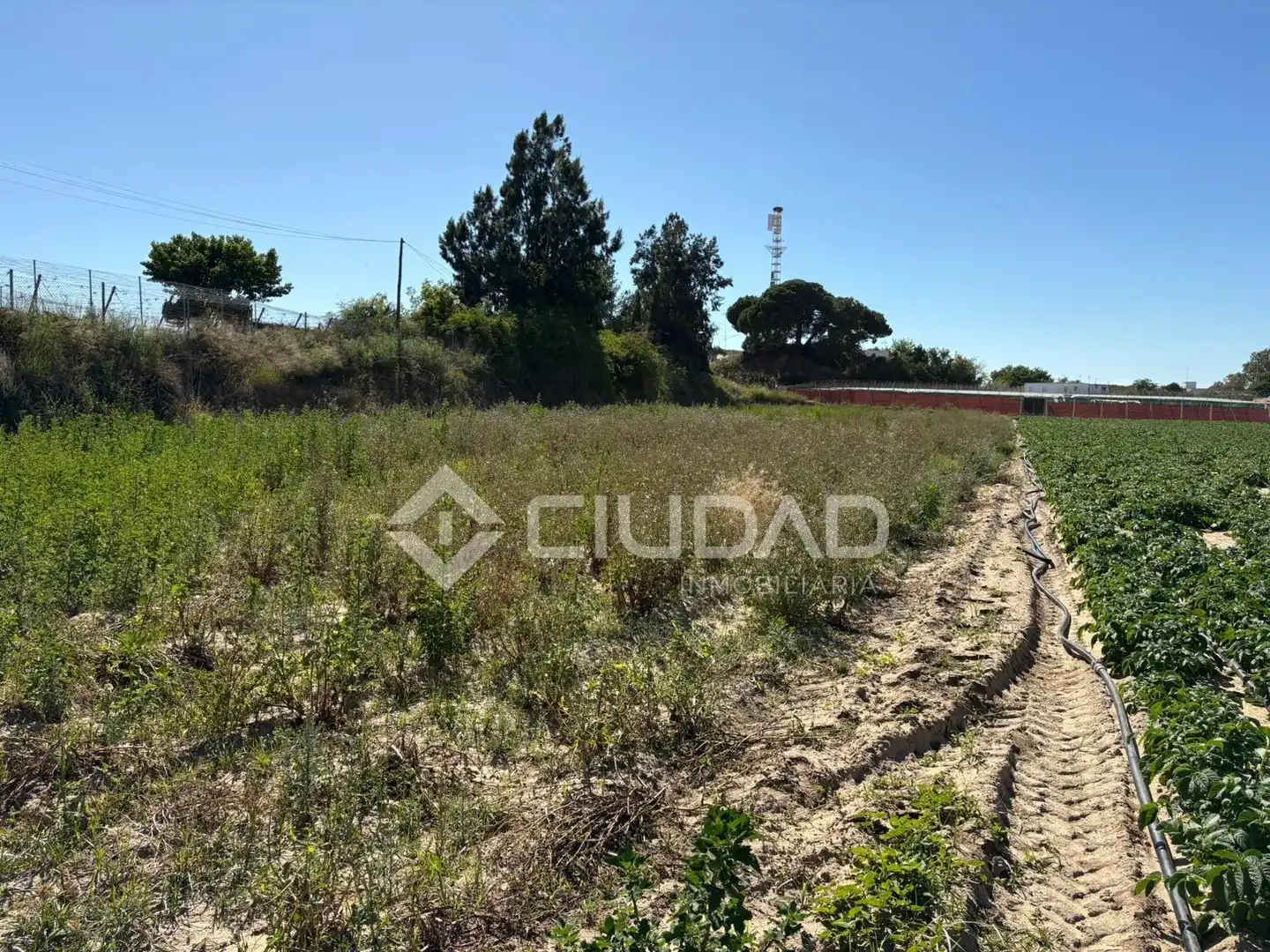 Terreno en venta en Sanlúcar de Barrameda