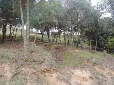 Terrenys i solars en venda a Calle MARGALLO
