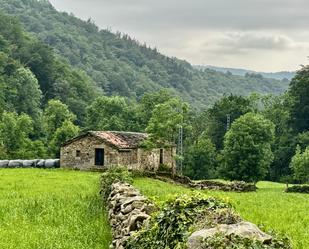 Vista exterior de Casa o xalet en venda en Selaya