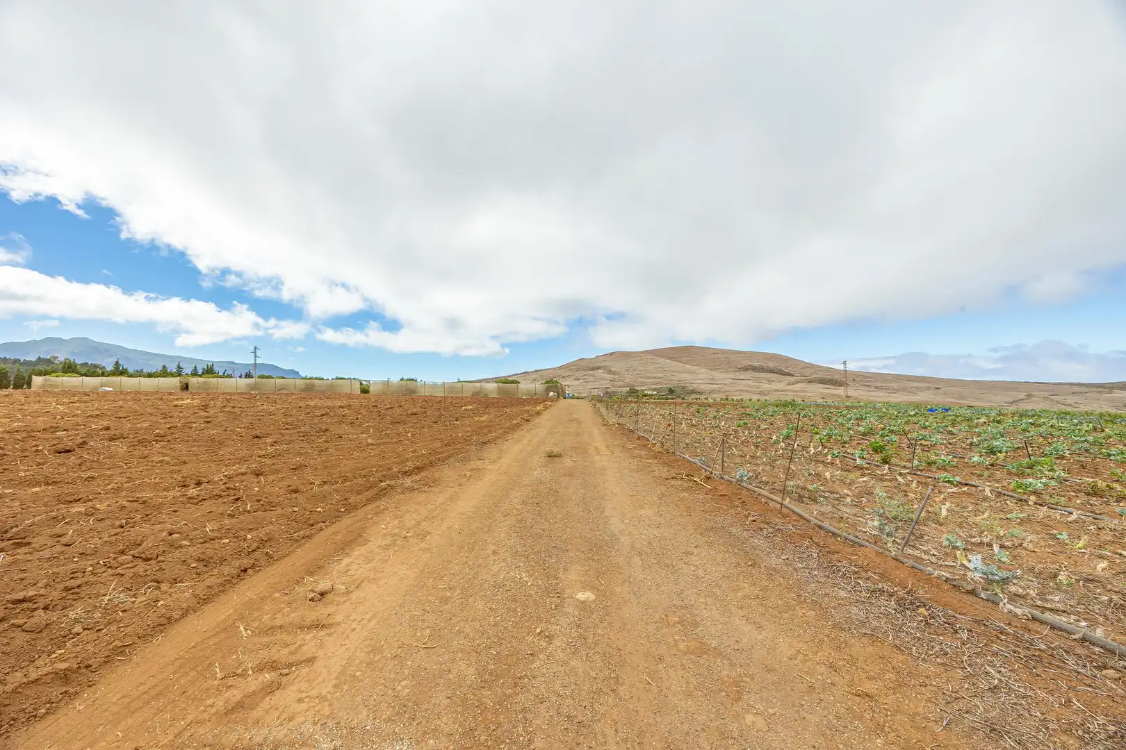Residencial en venta en Lugar Lomo del Poleo, Saucillo - Fagajesto - Juncalillo
