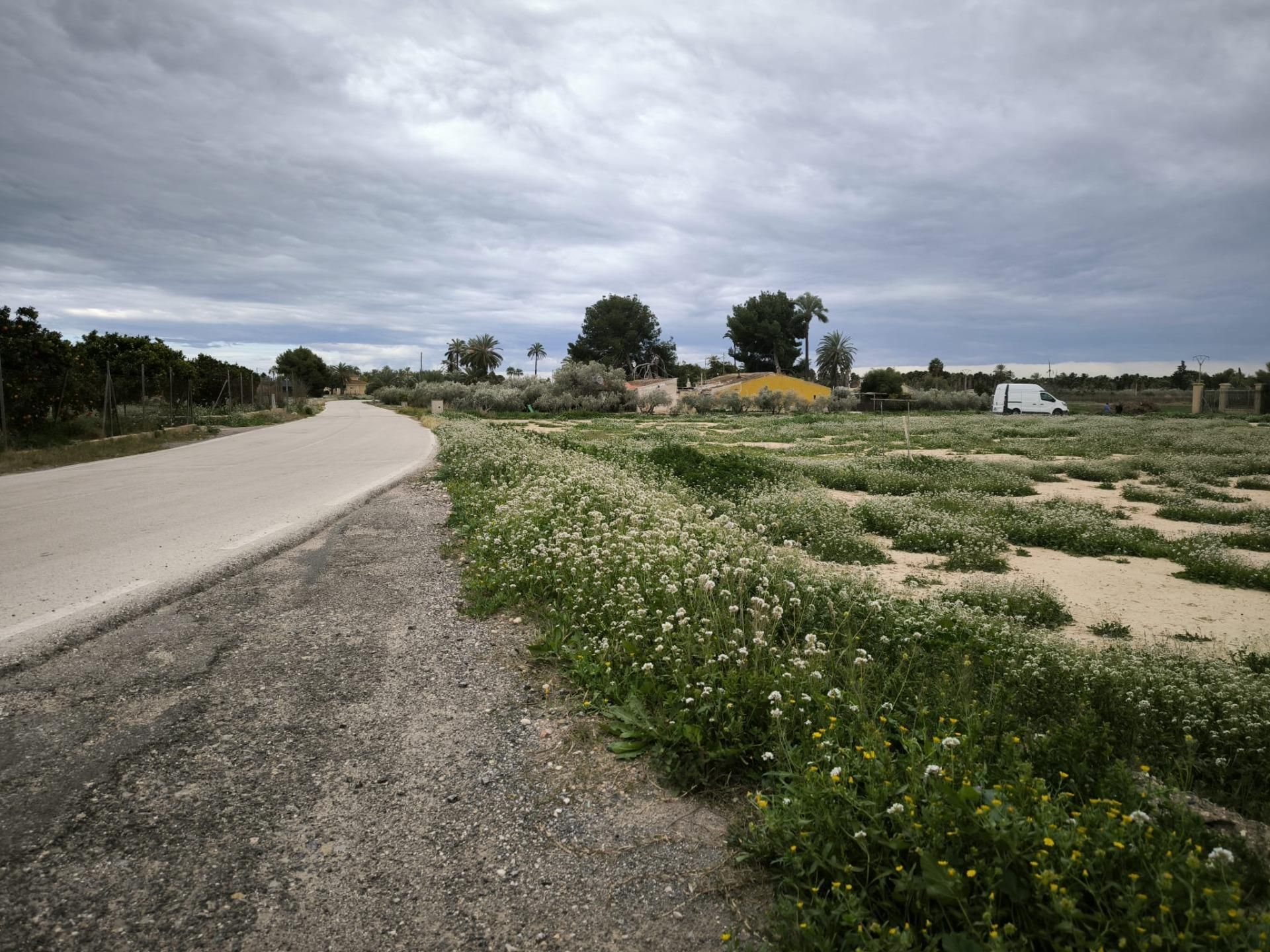 Terreno en venta en Elche / Elx