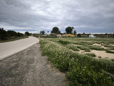 Terrain rustique à vendre à Partida derramador