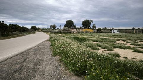 Finca Rústica en Elche, Partida Derramador