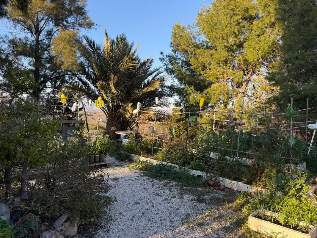 Jardín de Finca rústica en venta en Molina de Segura con Aire acondicionado, Calefacción y Jardín privado