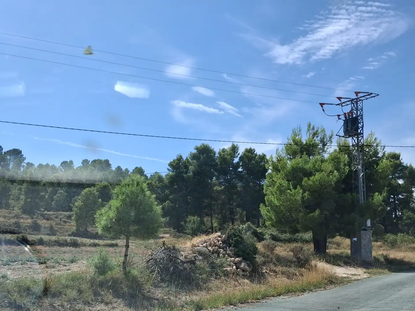 Terreny rústic en venda a Moratalla