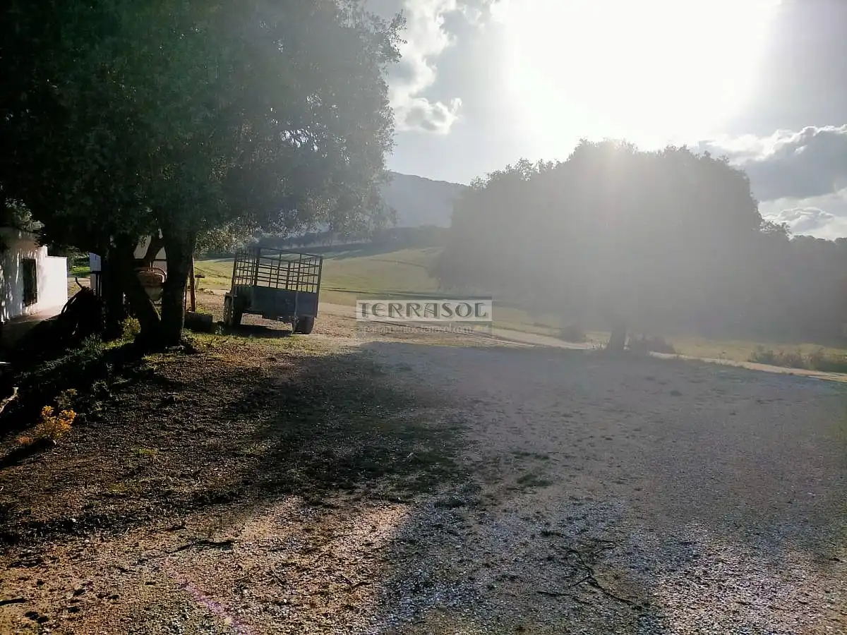 Maison à vendre à Alhama de Granada, imagen 5