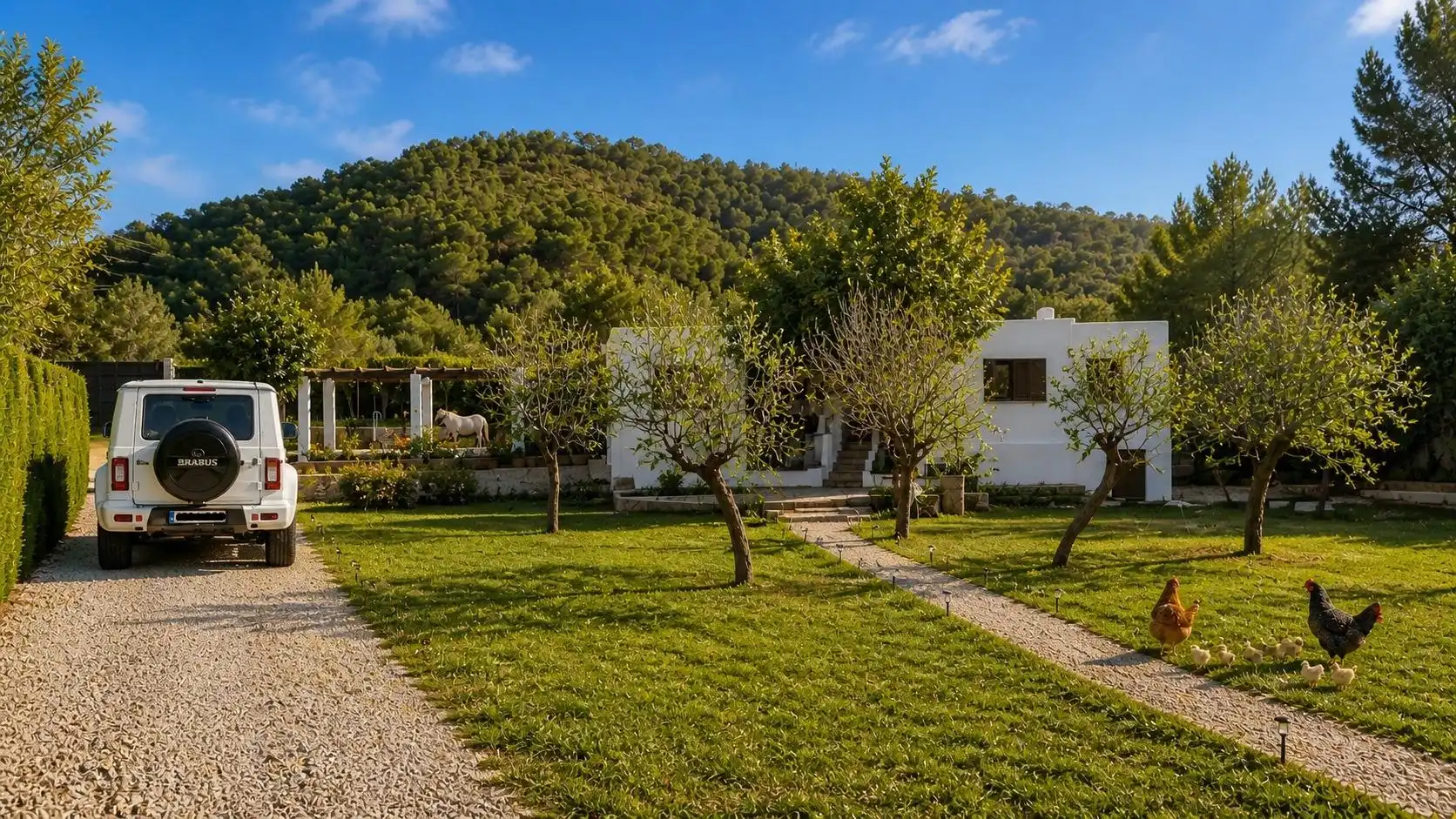 Jardí de Finca rústica en venda en Calvià amb Aire condicionat, Jardí privat i Terrassa