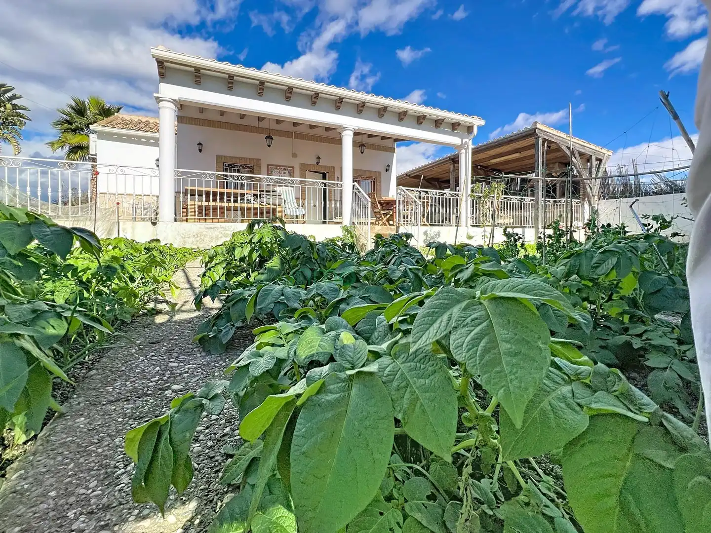 Jardí de Finca rústica en venda en Cuevas del Almanzora amb Aire condicionat, Jardí privat i Terrassa