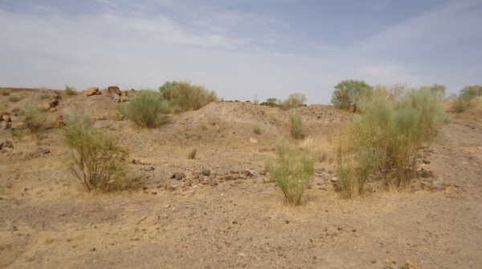 Foto 4 von Residential zum Verkauf in Charnecales, Villagarcía de la Torre, Badajoz