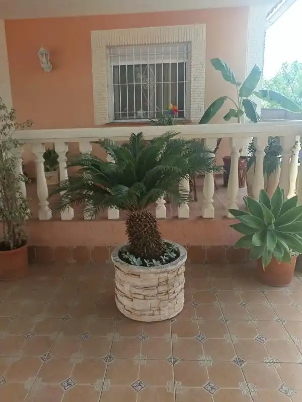 Terrassa de Casa o xalet en venda en Murcia amb Aire condicionat, Calefacció i Jardí privat