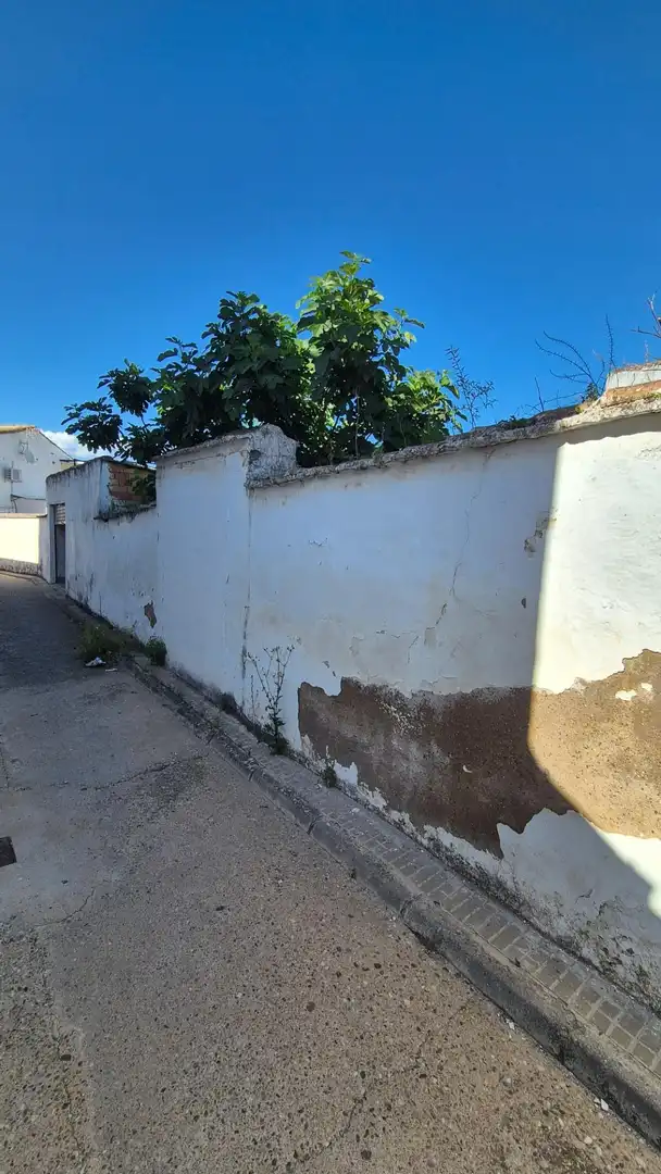Residential zum Verkauf in Almodóvar del Río