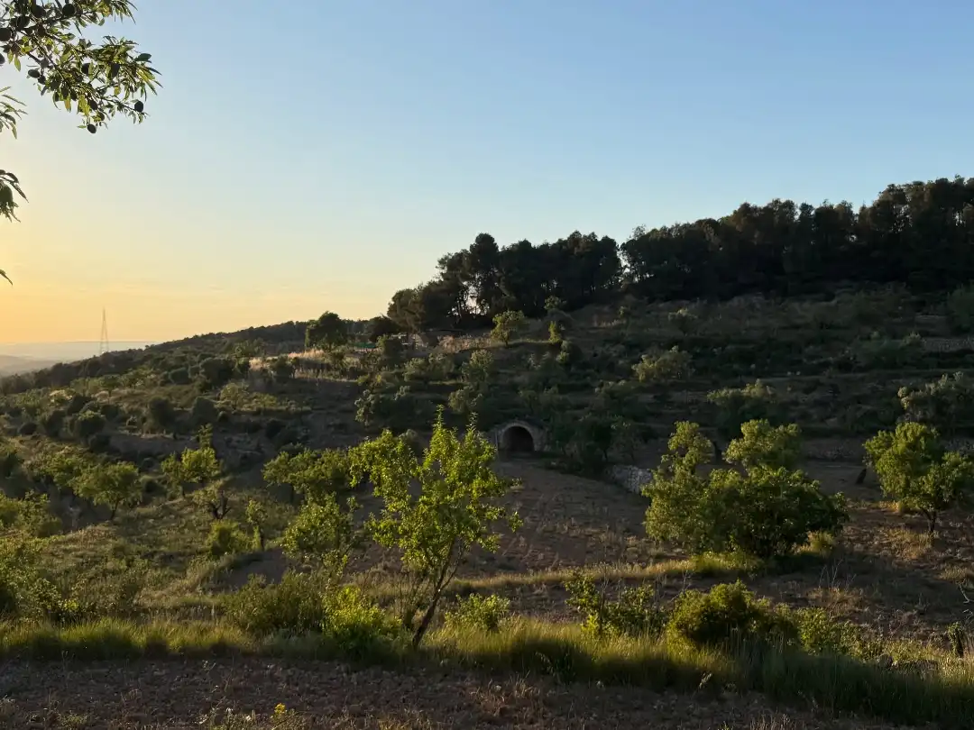 Rustikales Grundstück zum Verkauf in Tosalet 42, imagen 23