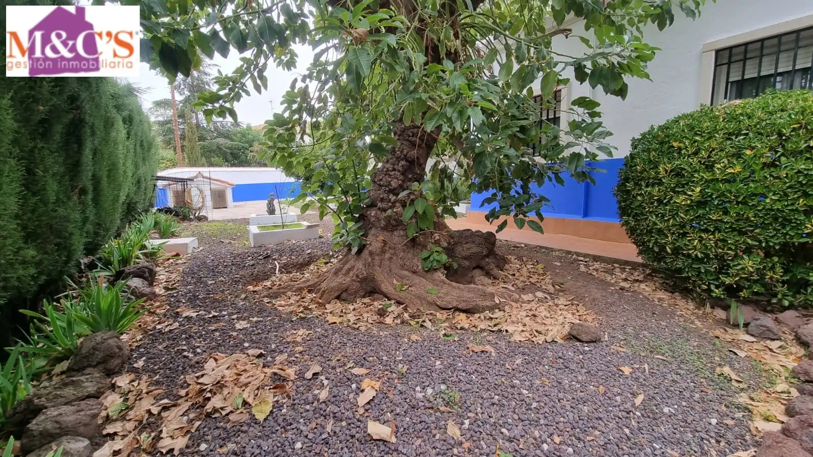 Jardí de Casa o xalet en venda en Puertollano amb Aire condicionat, Calefacció i Jardí privat