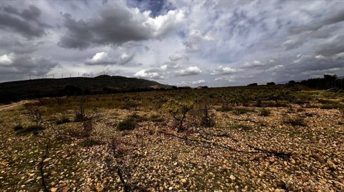 Finca Rustica en Caudete, immagine 5