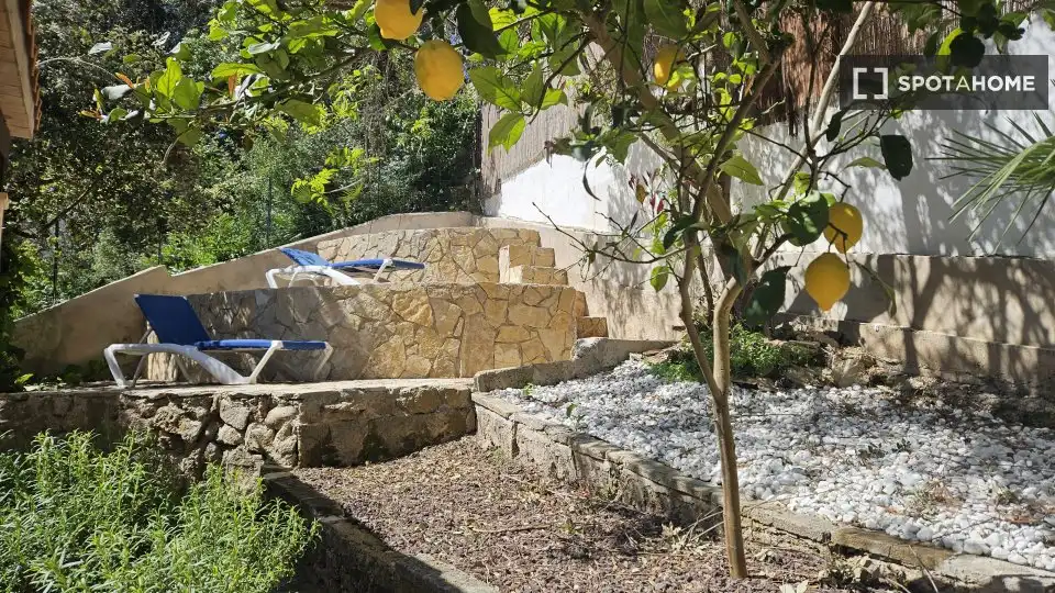 Terrace of Apartments for share in Pollença  with Air Conditioner, Terrace and Furnished