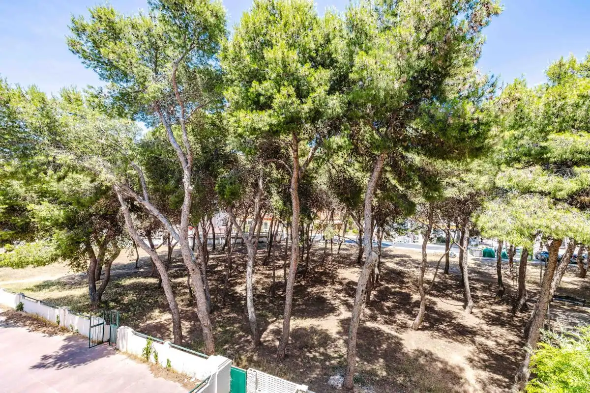 Vista exterior de Piso en venta en Torremolinos con Aire acondicionado, Calefacción y Jardín privado