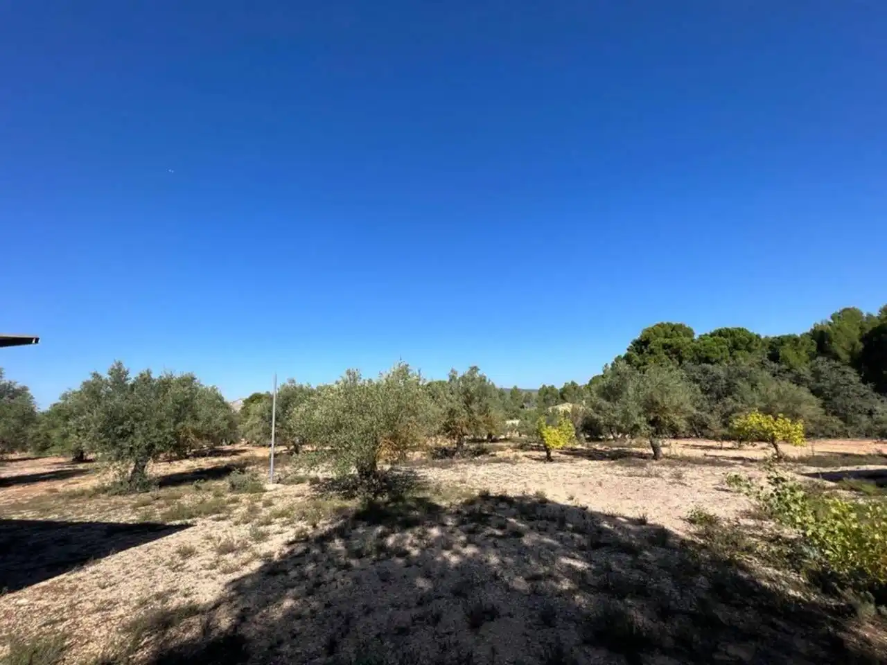 Chalet en venta en Banyeres de Mariola, imagen 49