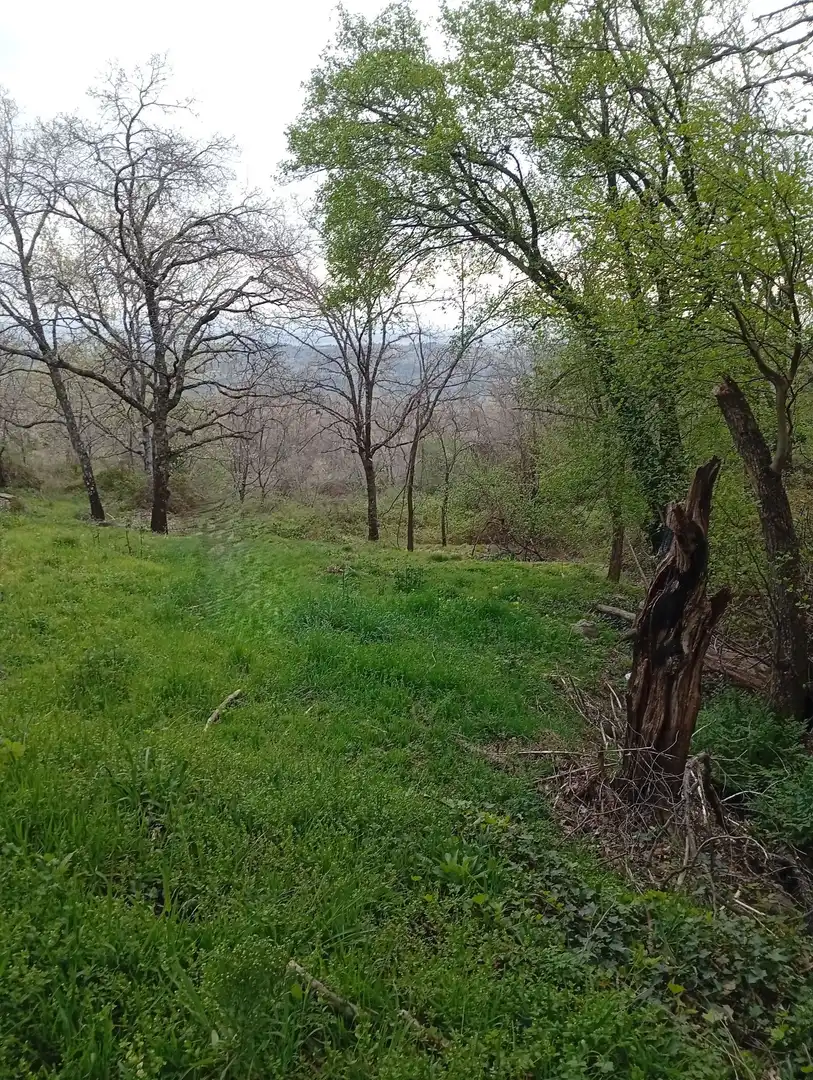 Terreni e lotti in vendita a Valverde de la Vera, imagen 105