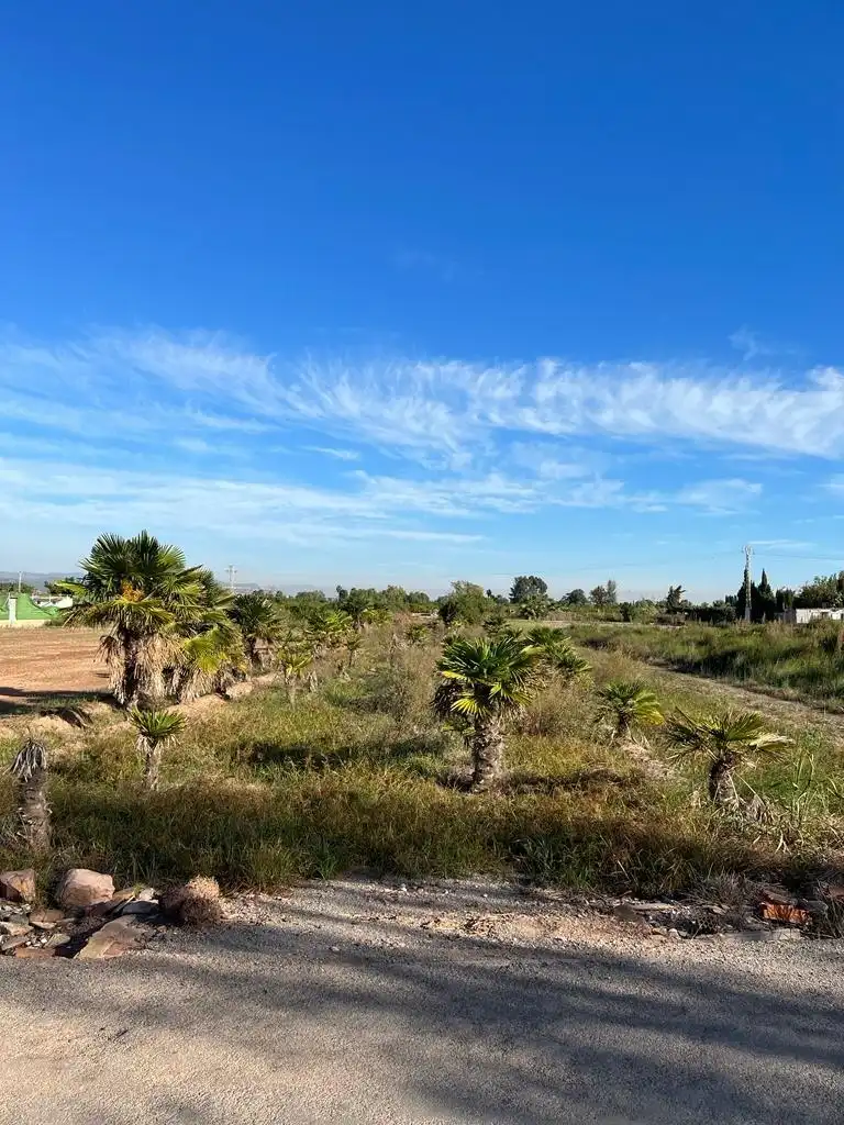 Terreno rústico en venta en Camino ABRES, imagen 5