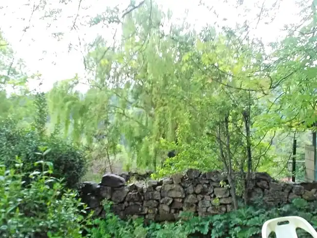 Chalet en venta en C/ San Miguel, imagen 12