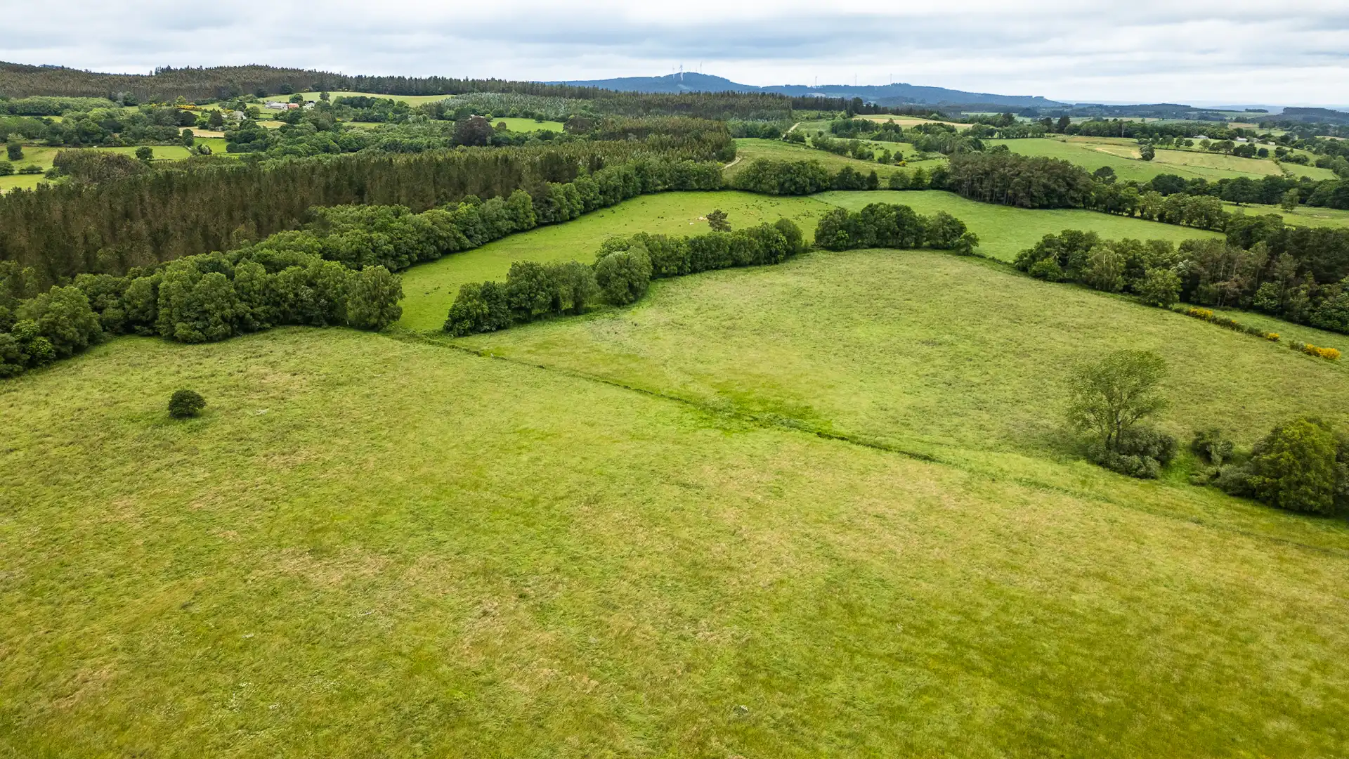 Finca rústica en venta en Friol