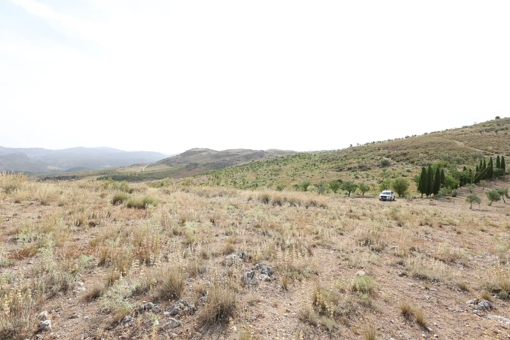 Residencial en venta en Darro