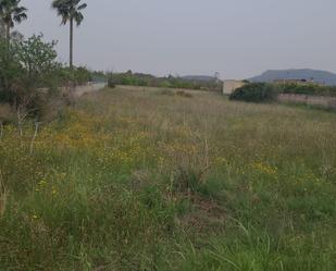 Industrial land for sale in Algaida